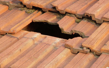 roof repair Middle Luxton, Devon